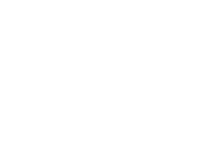 Logo Amici Abruzzesi in bianco