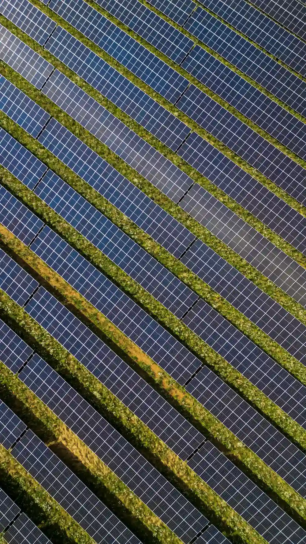 Vista aerea di file di moduli separate da strisce di prato