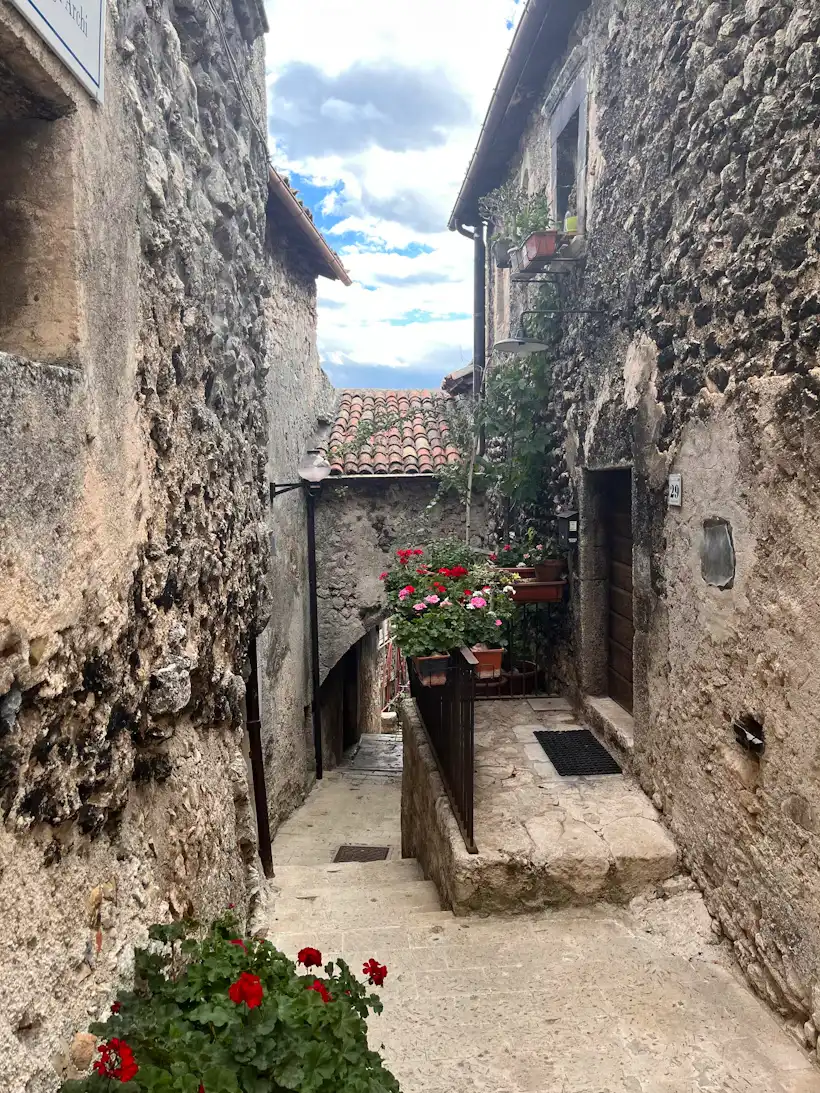 Vicolo in pietra con una pianta in vaso a Santo Stefano di Sessanio